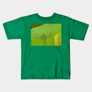 Dragonfly on lotus leaf Kids T-Shirt